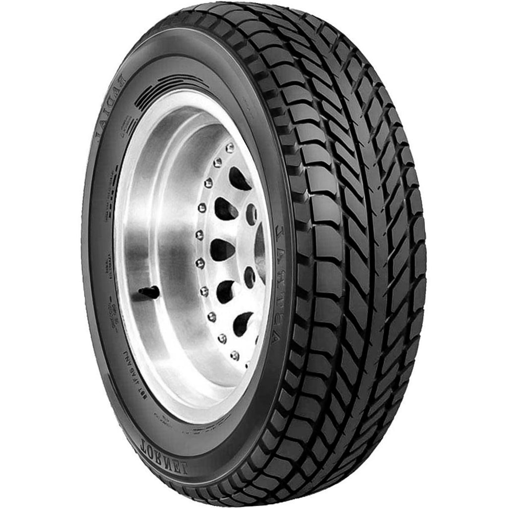 Tornel Astral 225/60R16 97H a/s All Season Tire
