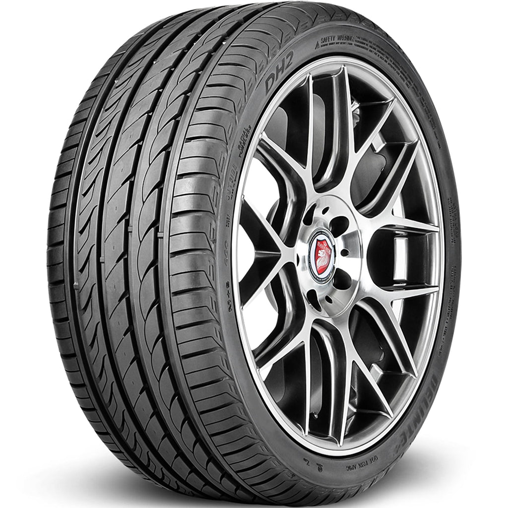 Delinte DH2 225/55R18 ZR 102W XL A/S High Performance Tire Fits: 2019 Subaru Crosstrek Hybrid, 2018 Subaru Crosstrek Base