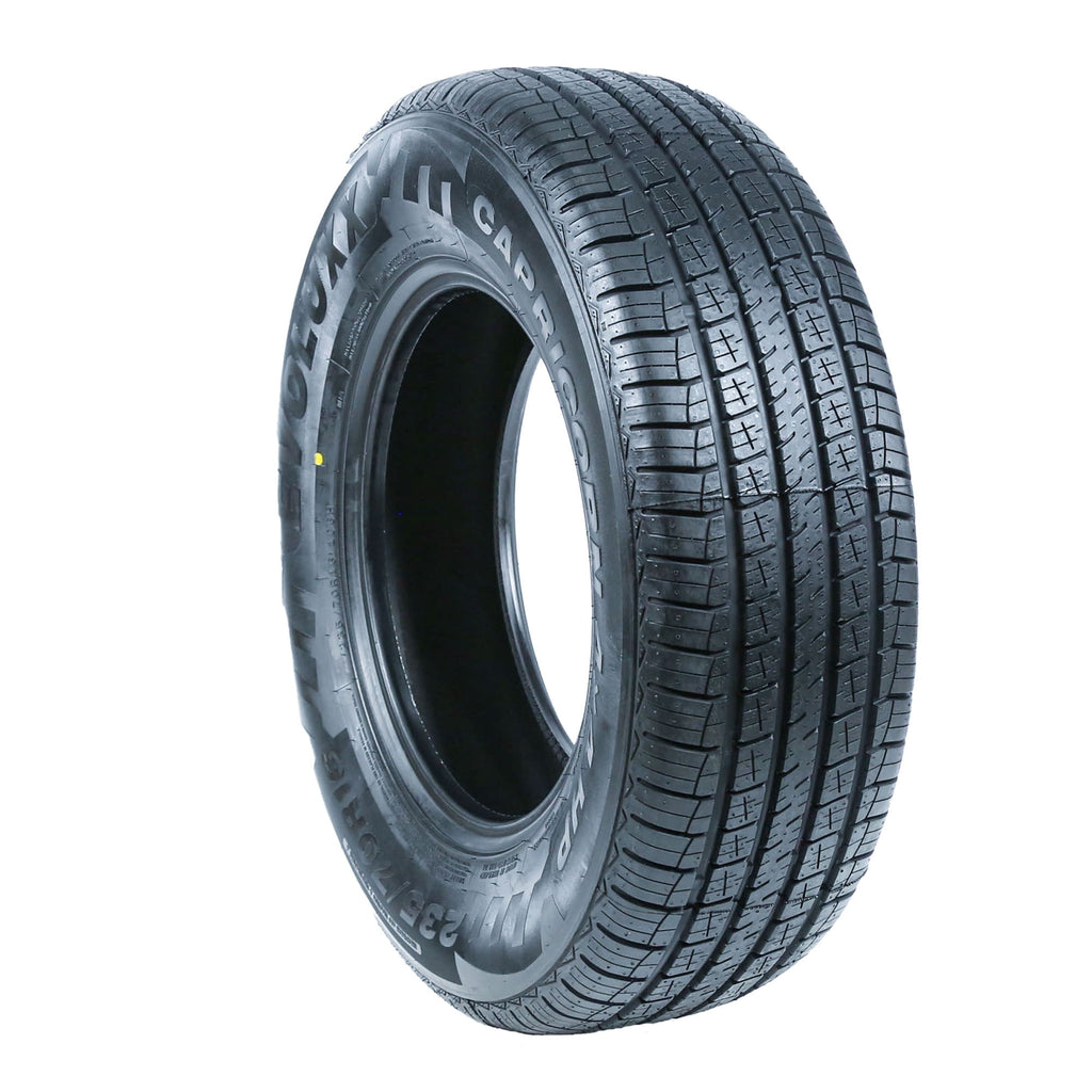 Evoluxx Capricorn 4X4 HP All Season 255/70R17 112T Passenger Tire