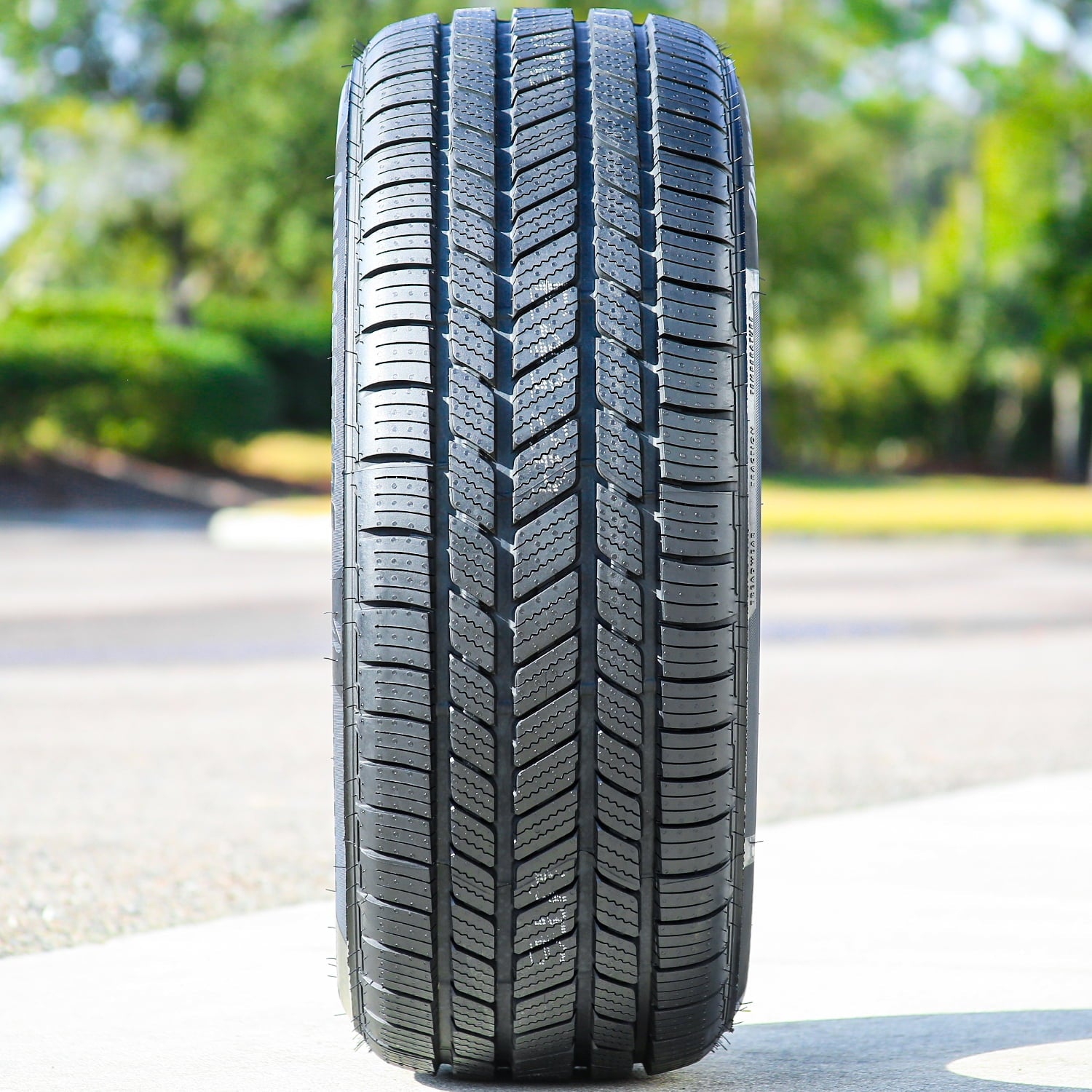 Bridgestone Turanza EverDrive 205/55R16 94V XL a/s All Season Tire