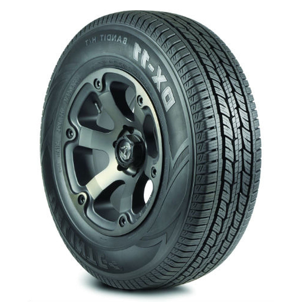 Delinte DX-11 All Season 235/55R18 104V XL Light Truck Tire