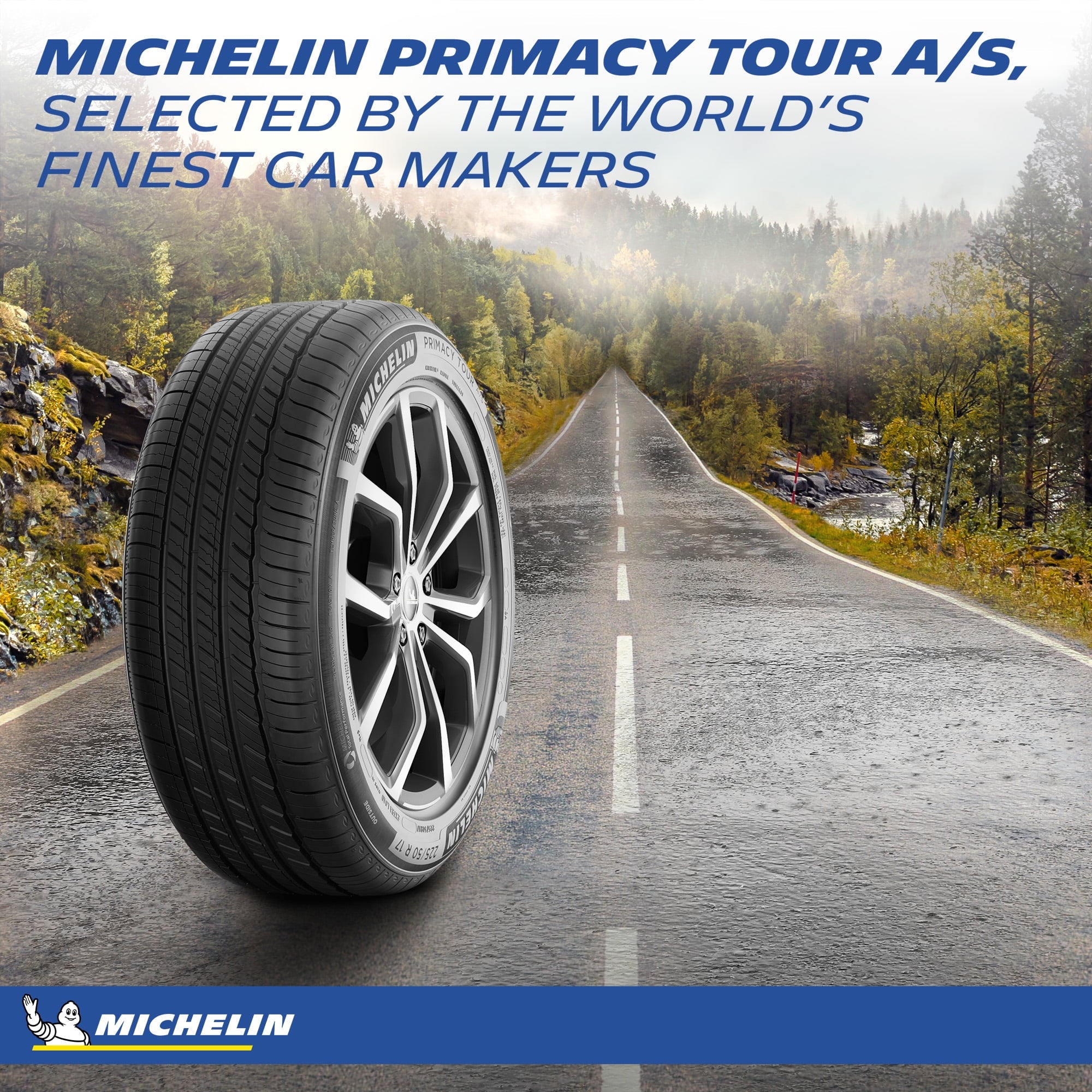 Michelin Primacy A/S All Season 255/40R19 96W Passenger Tire