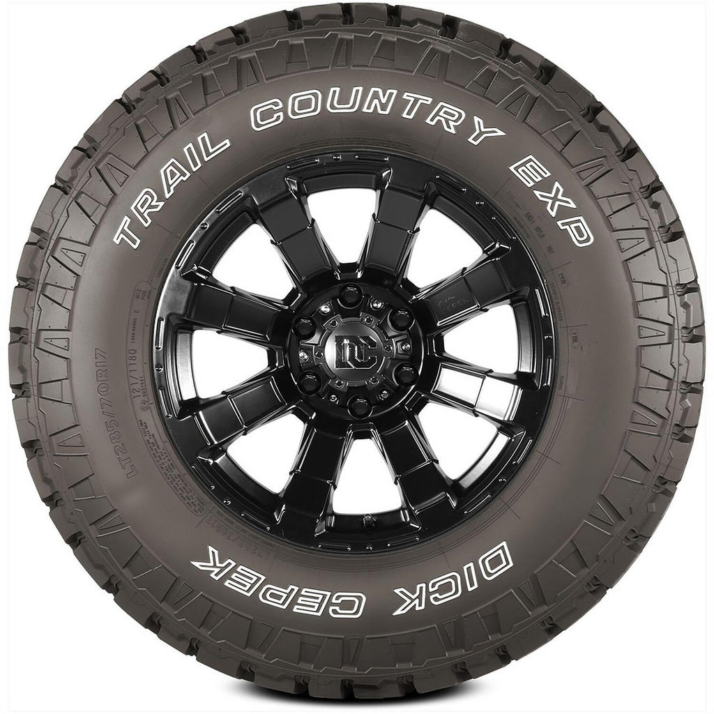 Dick Cepek Trail Country EXP LT295/70R17 121Q Tire