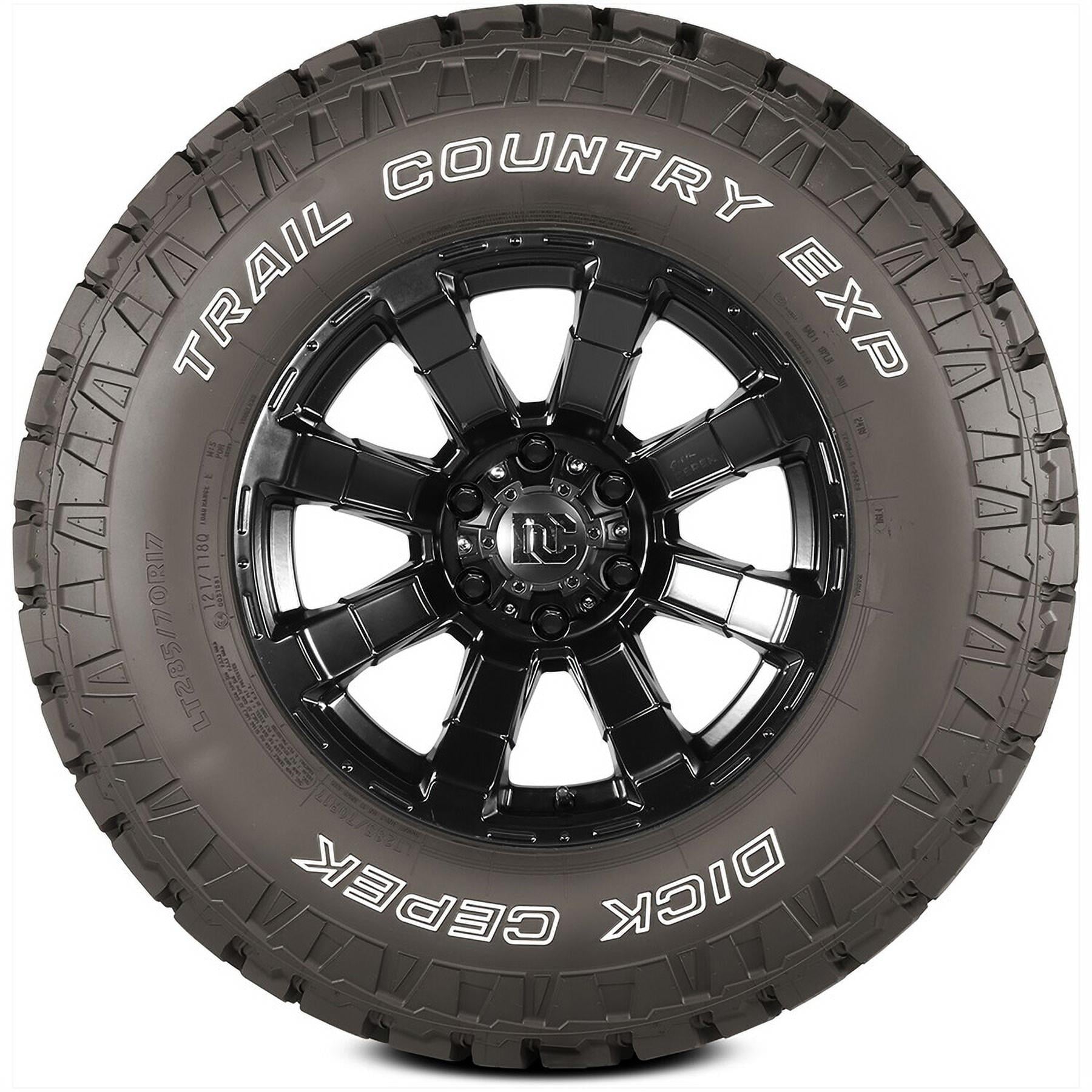 Dick Cepek Trail Country EXP LT295/70R17 121Q Tire