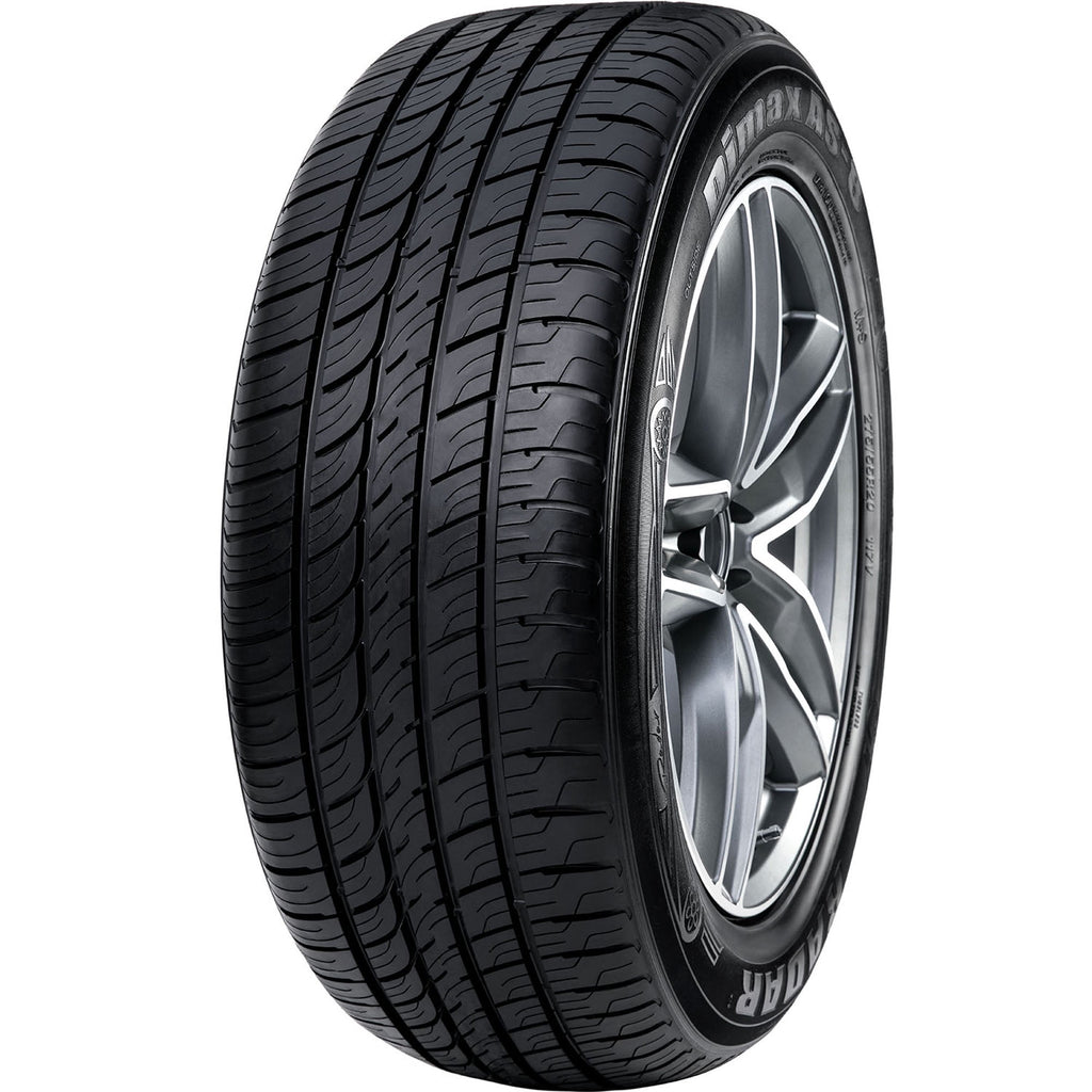 Radar Dimax AS-8 All Season 235/60R16 100V Passenger Tire
