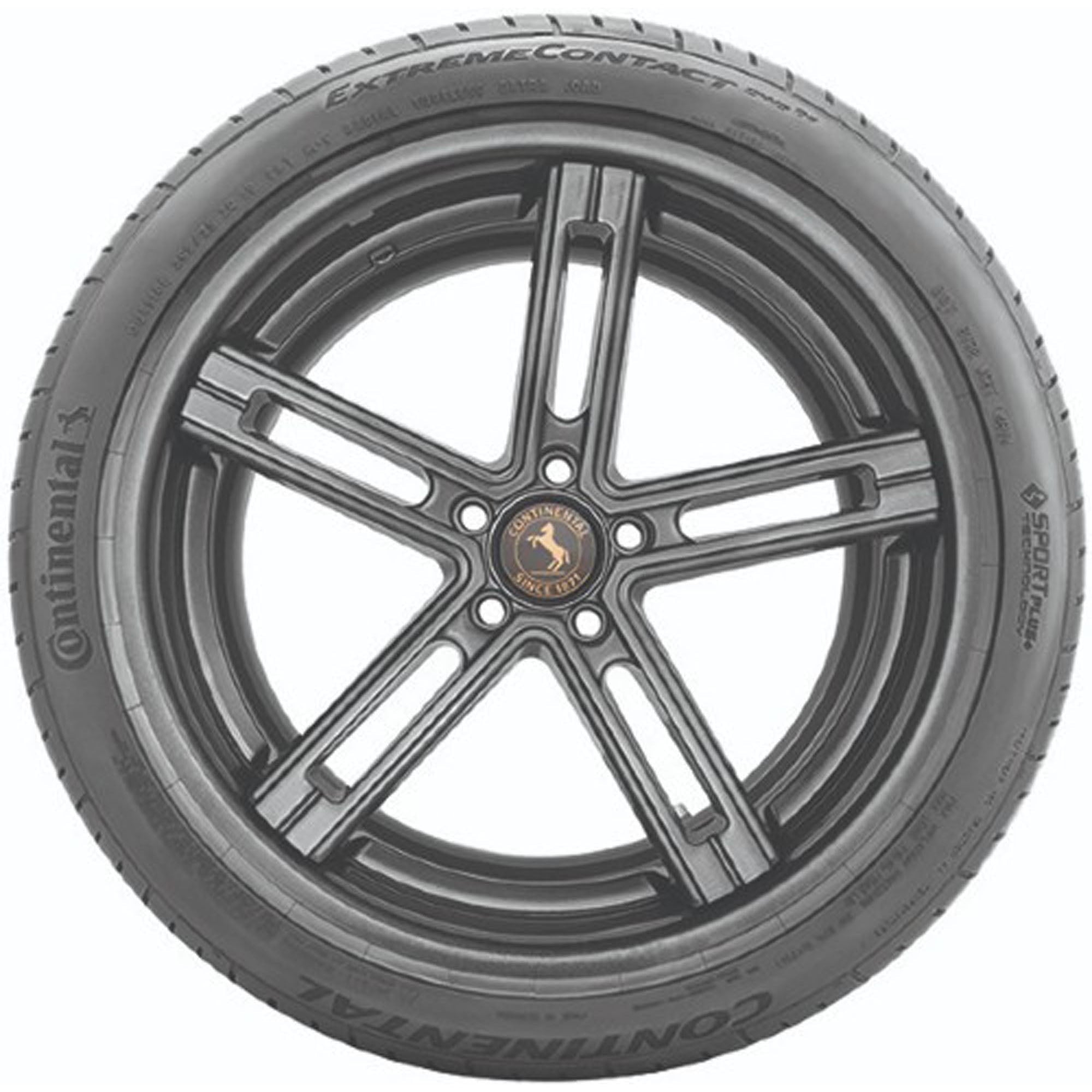 Continental ExtremeContact DWS06 UHP All Season 255/40ZR19 100Y XL Passenger Tire