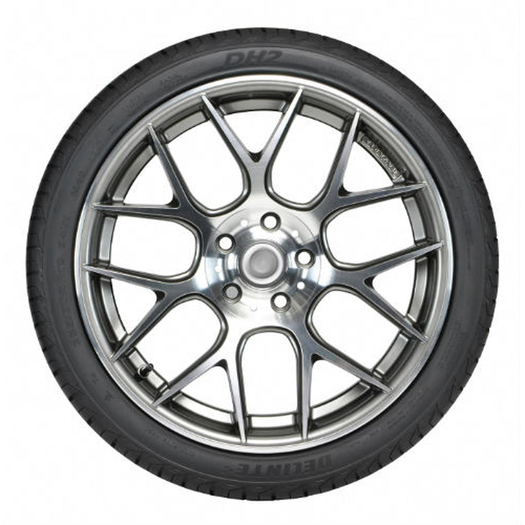 Delinte DH2 All Season 235/45R17 97W Passenger Tire