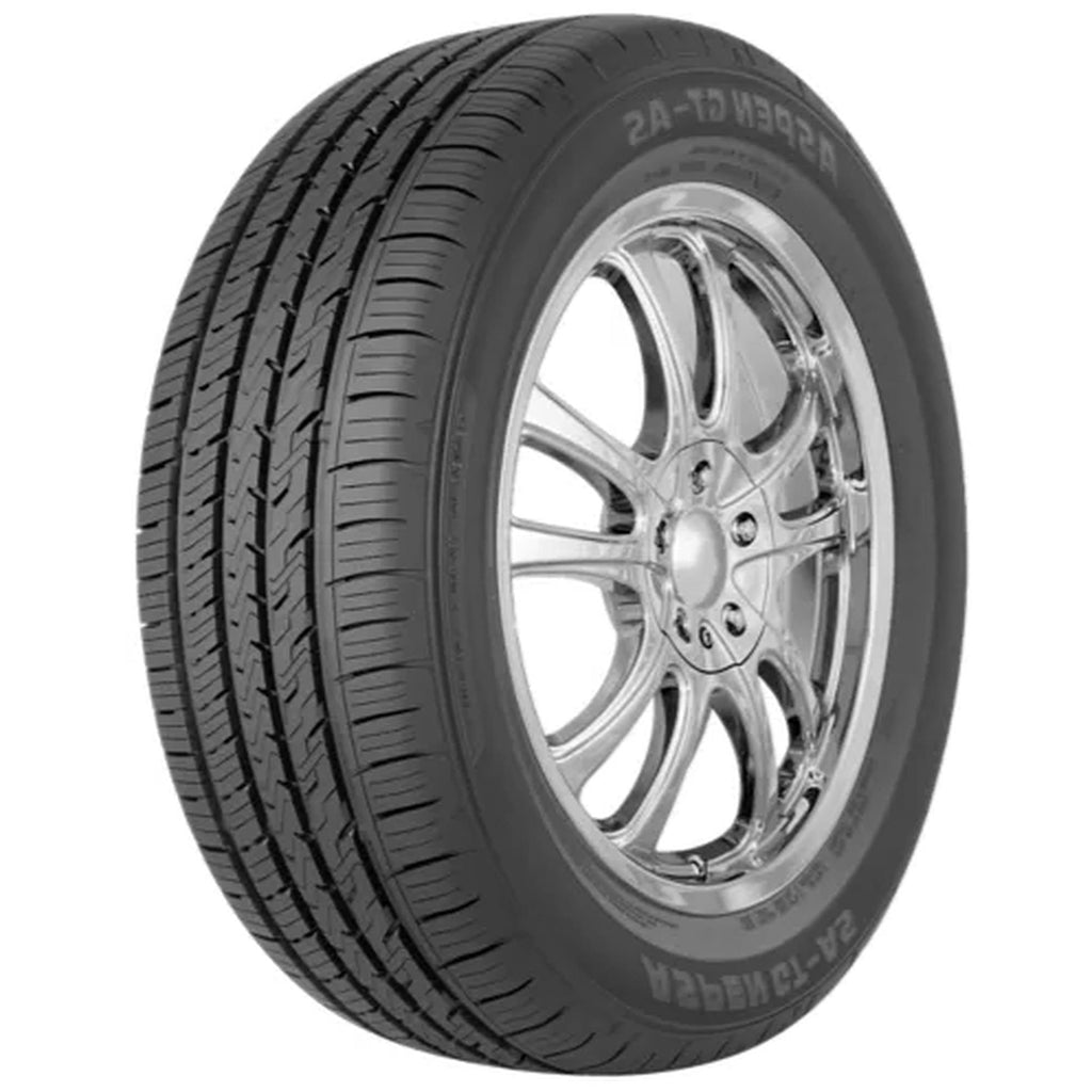 Aspen GT AS All Season 195/55R16 87V Passenger Tire