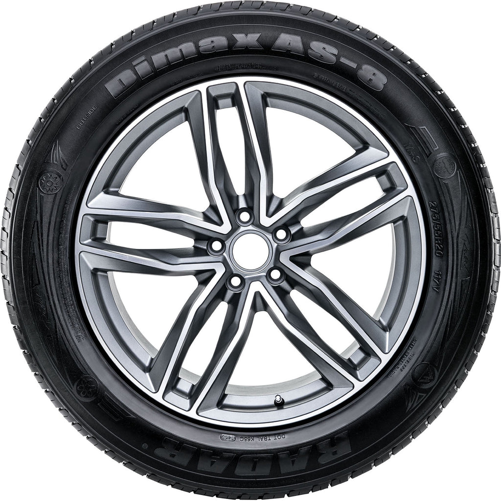 Radar Dimax AS-8 All Season 225/65R17 106V XL Passenger Tire
