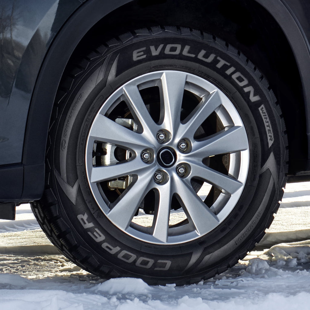 Cooper Tires Cooper Evolution Winter Studable - Winter Tire - 255/50R20 109T