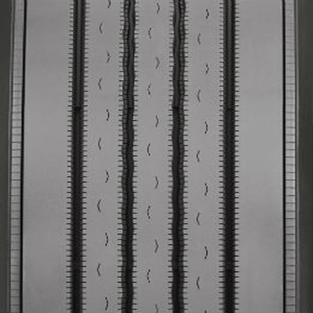 Roadmaster RM832 11R22.5 146L H Commercial Tire