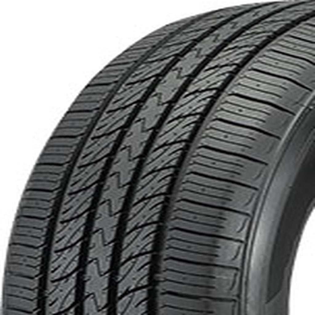 Arroyo Eco Pro A/S All Season 225/65R16 100H Passenger Tire