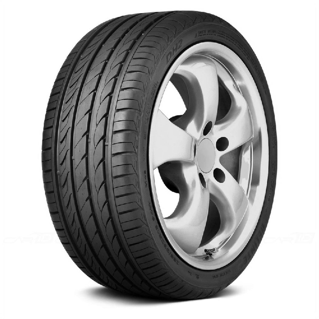 Delinte Dh2 P225/50R17 98W Bsw All-Season tire.