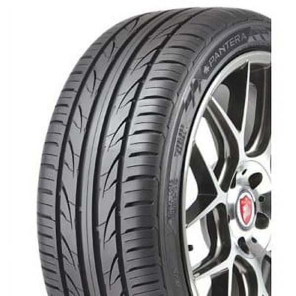 Pantera Sport A/S 101 W 225/55R17 All Season Passenger Tire