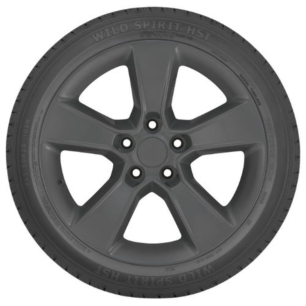 Eldorado Wild Spirit HST All Season 275/65R18 116T Passenger Tire