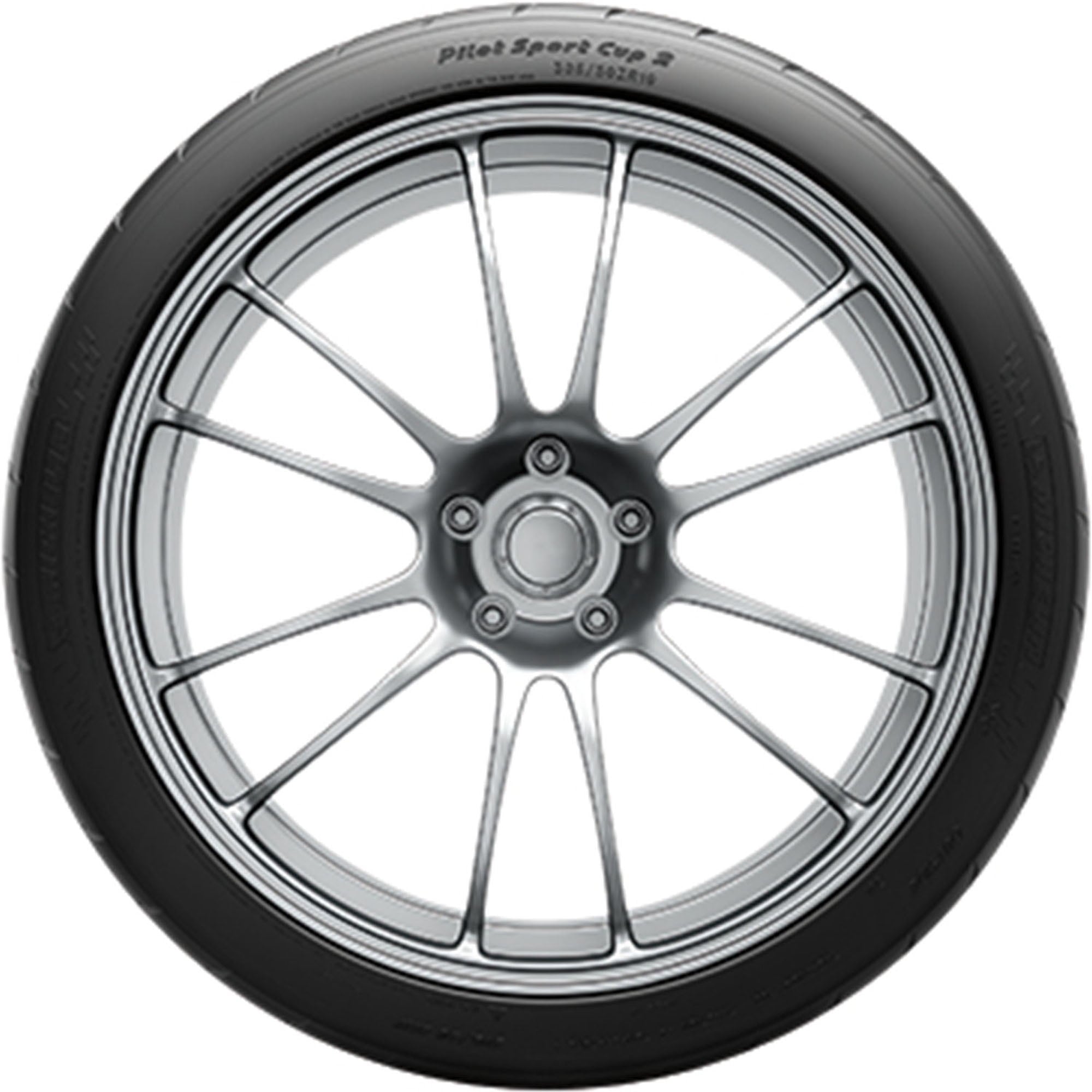 Michelin Pilot Sport Cup 2 Summer 295/35ZR19 104Y XL Passenger Tire